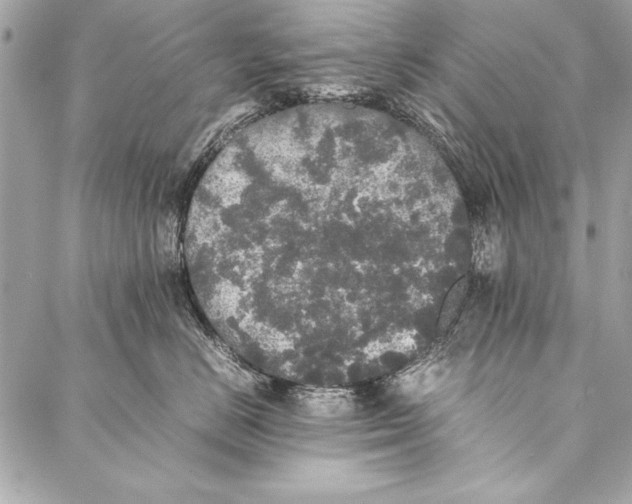 X0000087020670200705071511