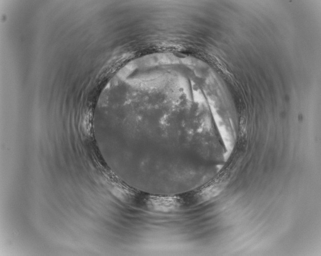 X0000087020671200705071511