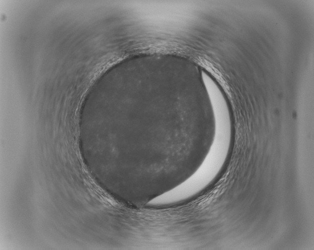 X0000087020673200705071510