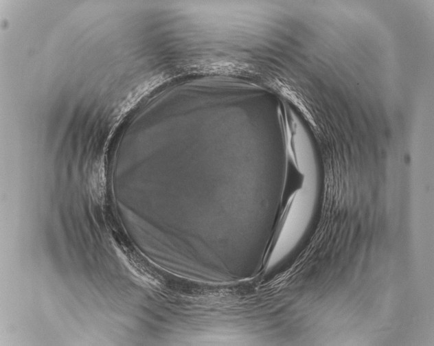 X0000087020674200705071510