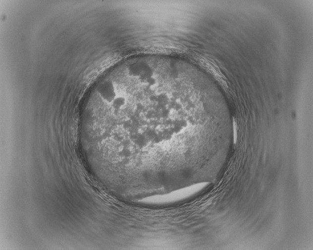 X0000087020675200705071510