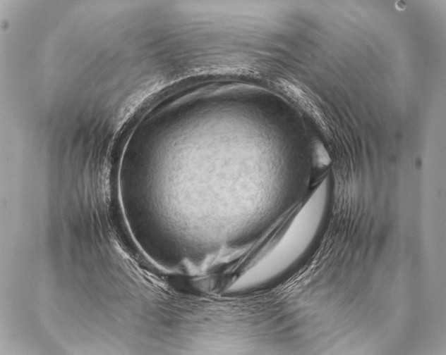 X0000087020676200705071510