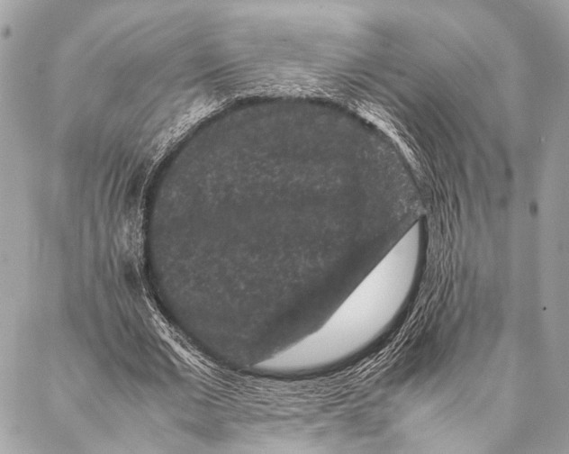 X0000087020677200705071510