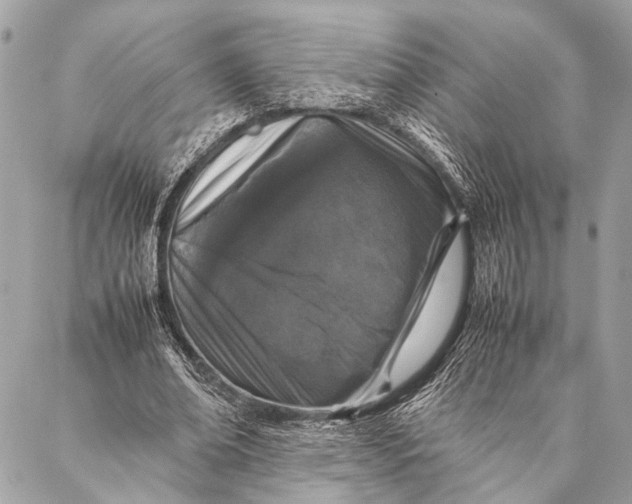 X0000087020678200705071510