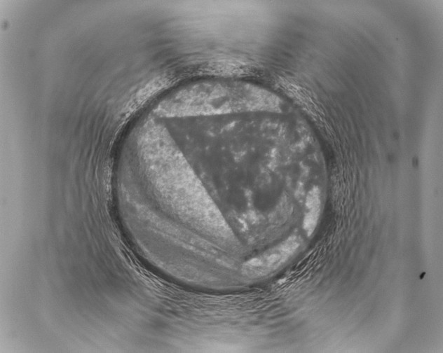 X0000087020679200705071510