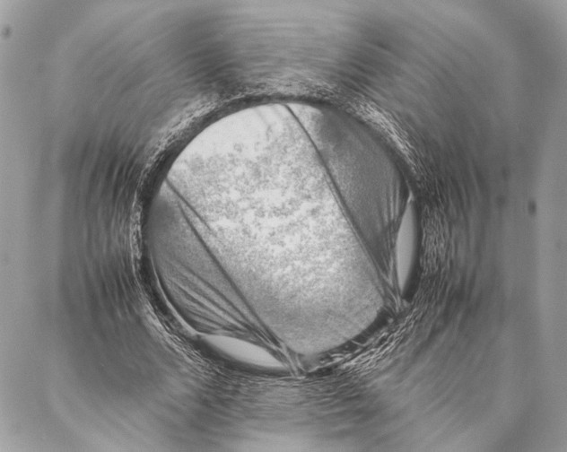 X0000087020680200705071510