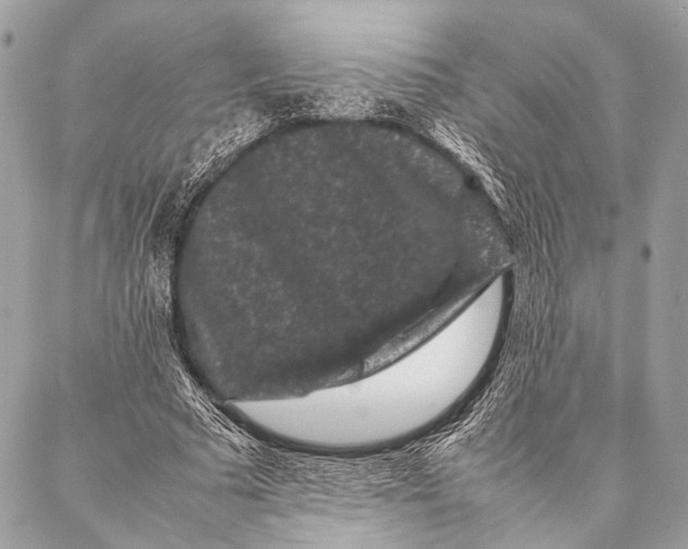 X0000087020681200705071510