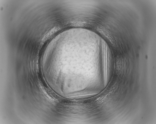 X0000087020682200705071510