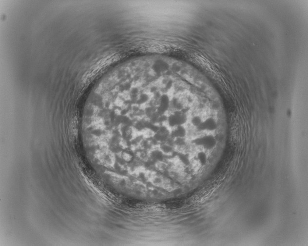 X0000087020683200705071510