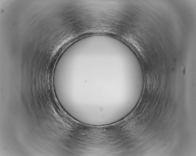 X0000087020684200705071510