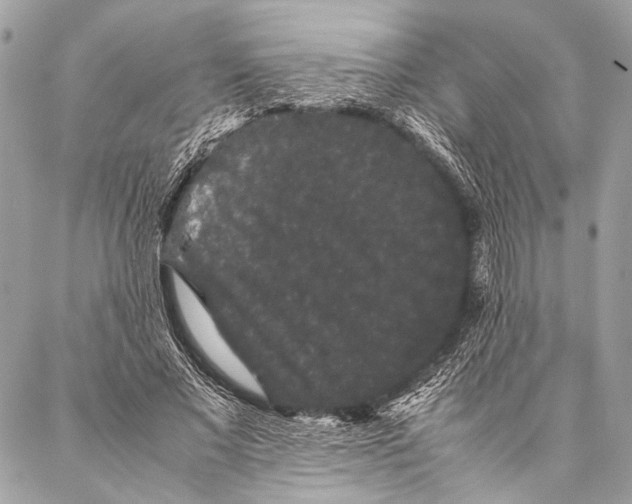 X0000087020685200705071510