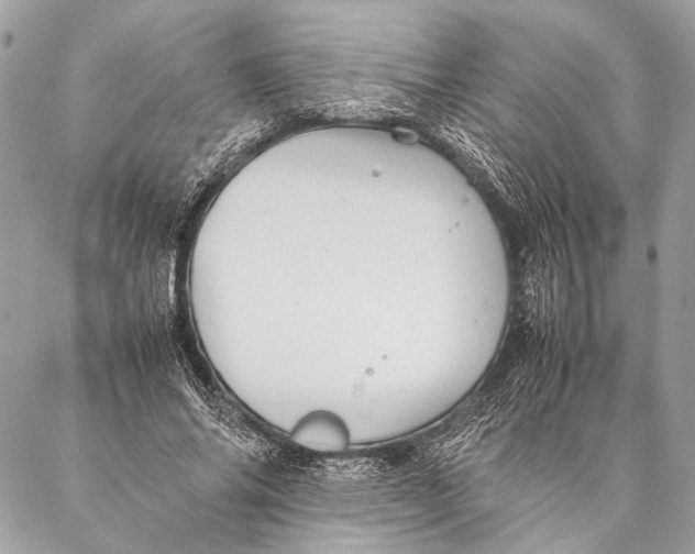 X0000087020686200705071510