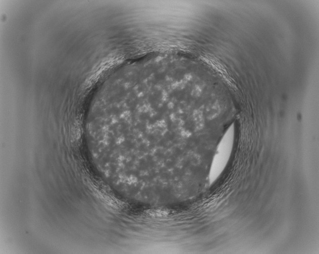 X0000087020687200705071510