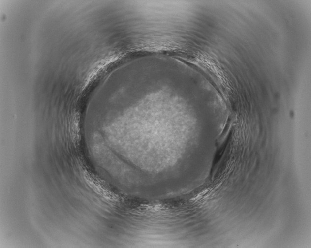 X0000087020688200705071510