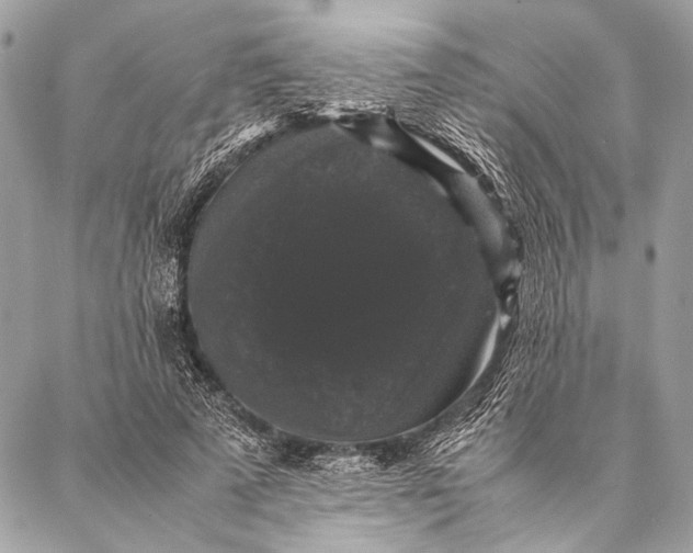 X0000087020689200705071510