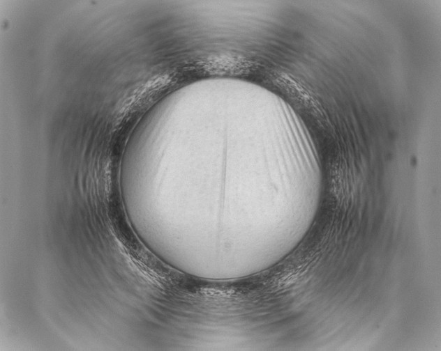 X0000087020690200705071510