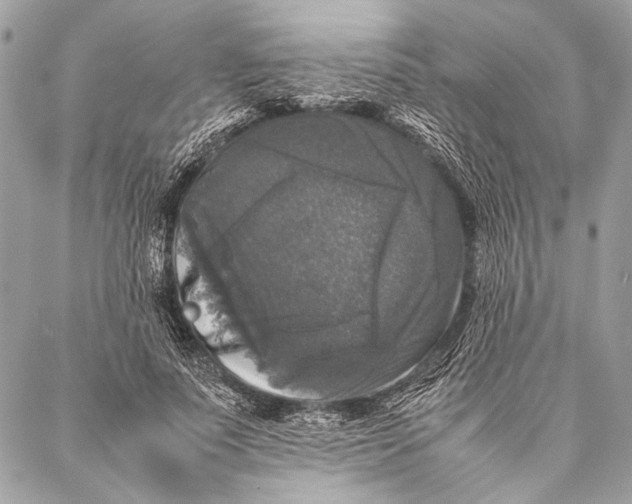 X0000087020691200705071510