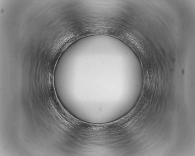 X0000087020692200705071510