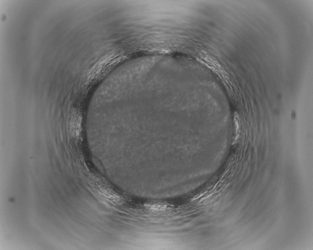 X0000087020693200705071510