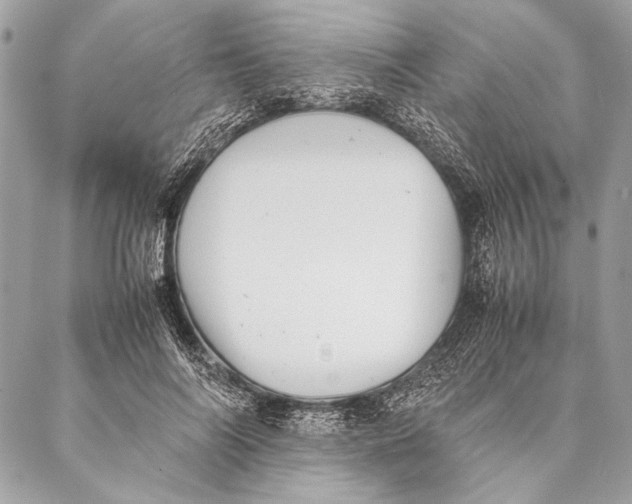 X0000087020694200705071510