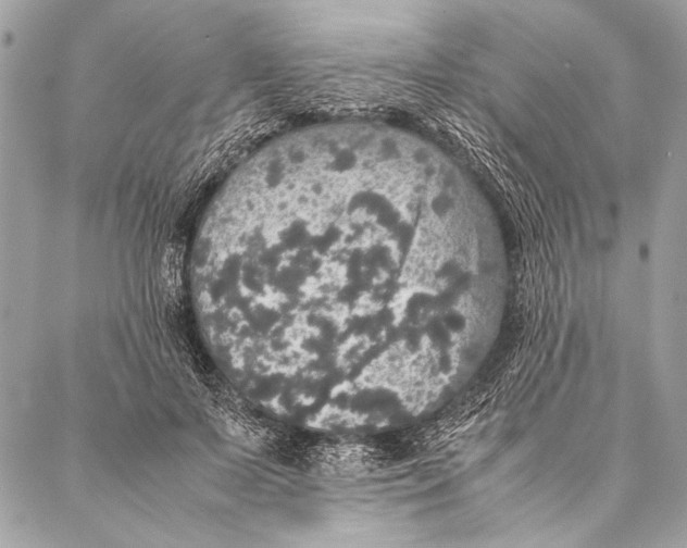 X0000087020695200705071510