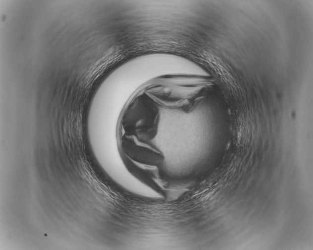 X0000087020696200705071510