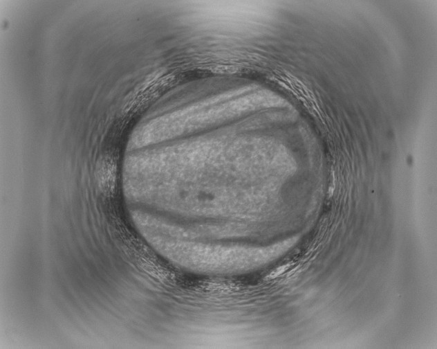 X0000087020697200705071510