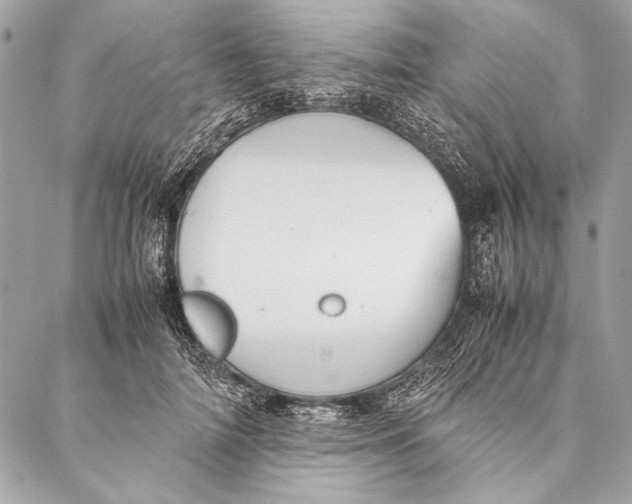 X0000087020698200705071510