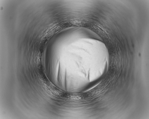 X0000087020702200705071510