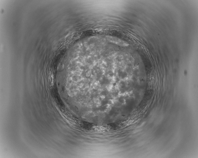 X0000087020703200705071510