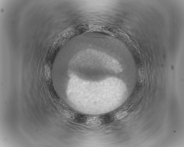 X0000087020705200705071510