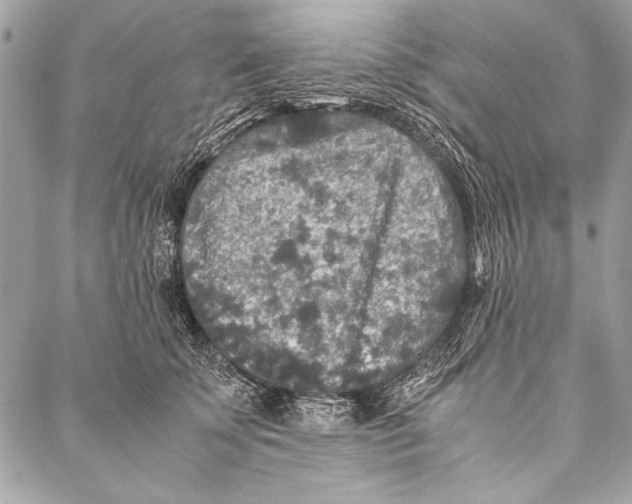 X0000087020707200705071510