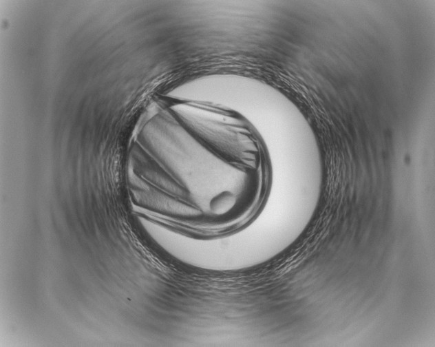 X0000087020708200705071510