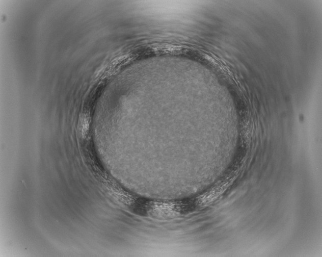 X0000087020709200705071510