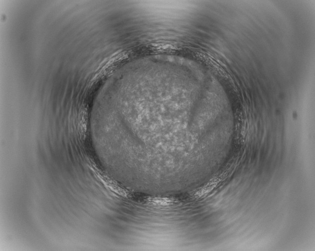 X0000087020710200705071510