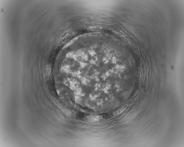 X0000087020711200705071510