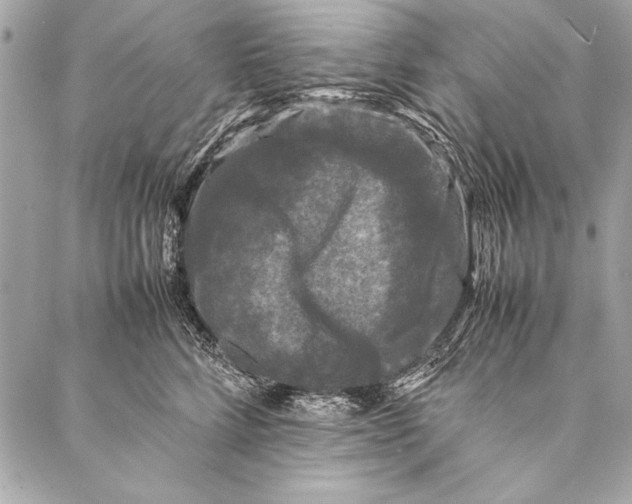 X0000087020712200705071510