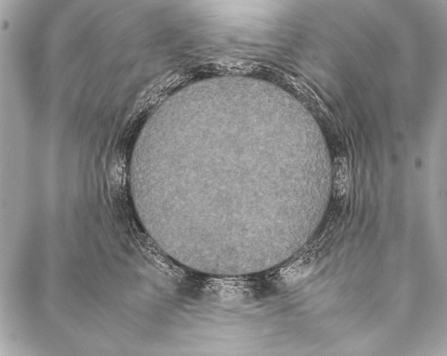 X0000087020713200705071510