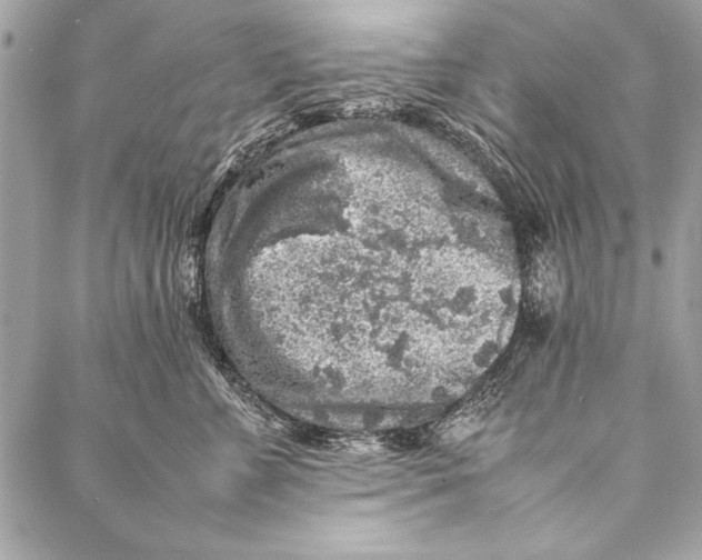 X0000087020715200705071509