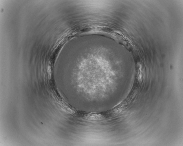 X0000087020716200705071509