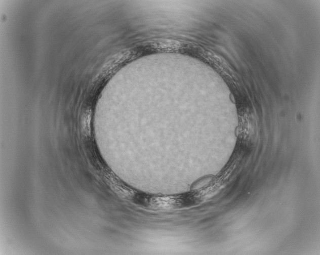 X0000087020717200705071509