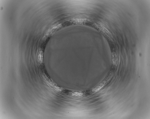 X0000087020718200705071509