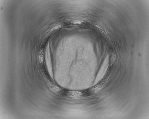 X0000087020719200705071509