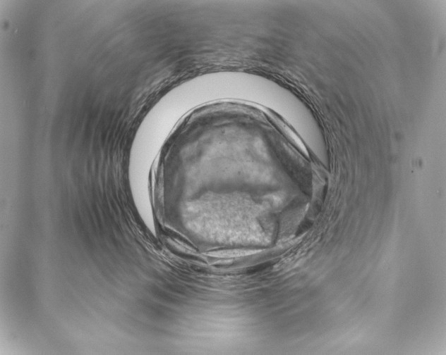 X0000087020720200705071509