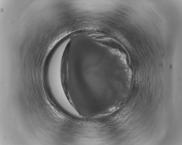 X0000087020722200705071509