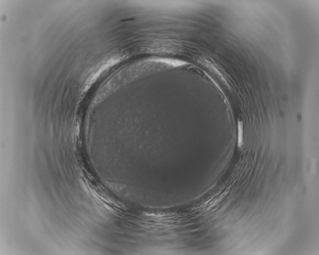 X0000087020723200705071509