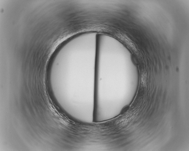 X0000087020724200705071509