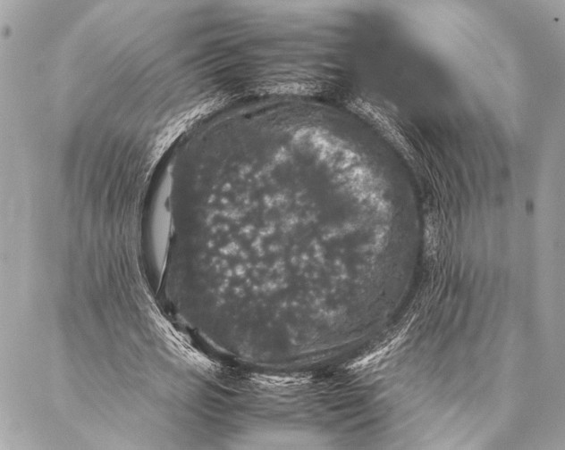 X0000087020725200705071509