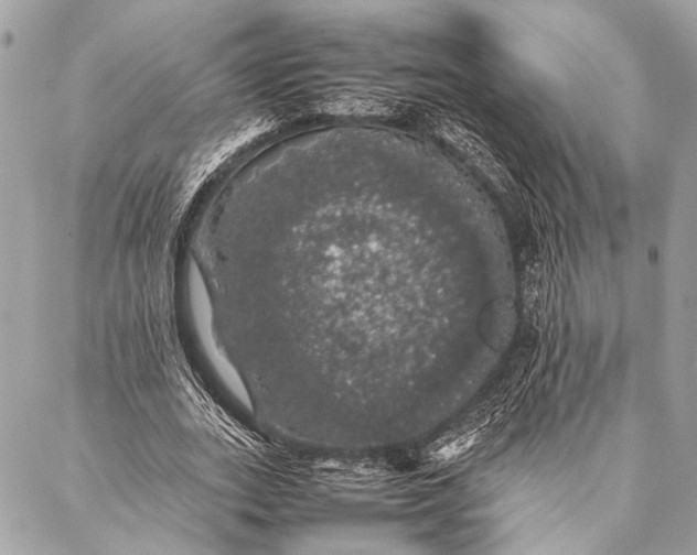 X0000087020727200705071509