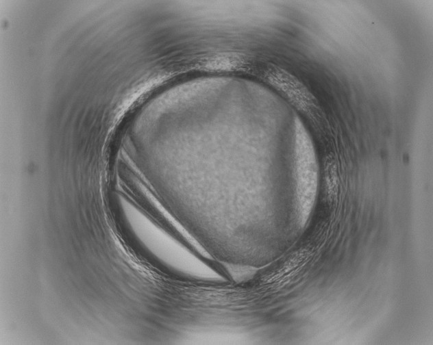 X0000087020728200705071509